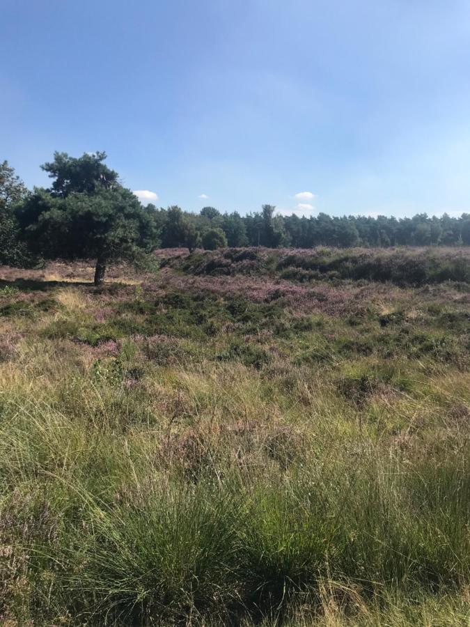 Sfeervol Chalet In Drenthe Bij Het Dwingelderveld Villa Spier Екстериор снимка