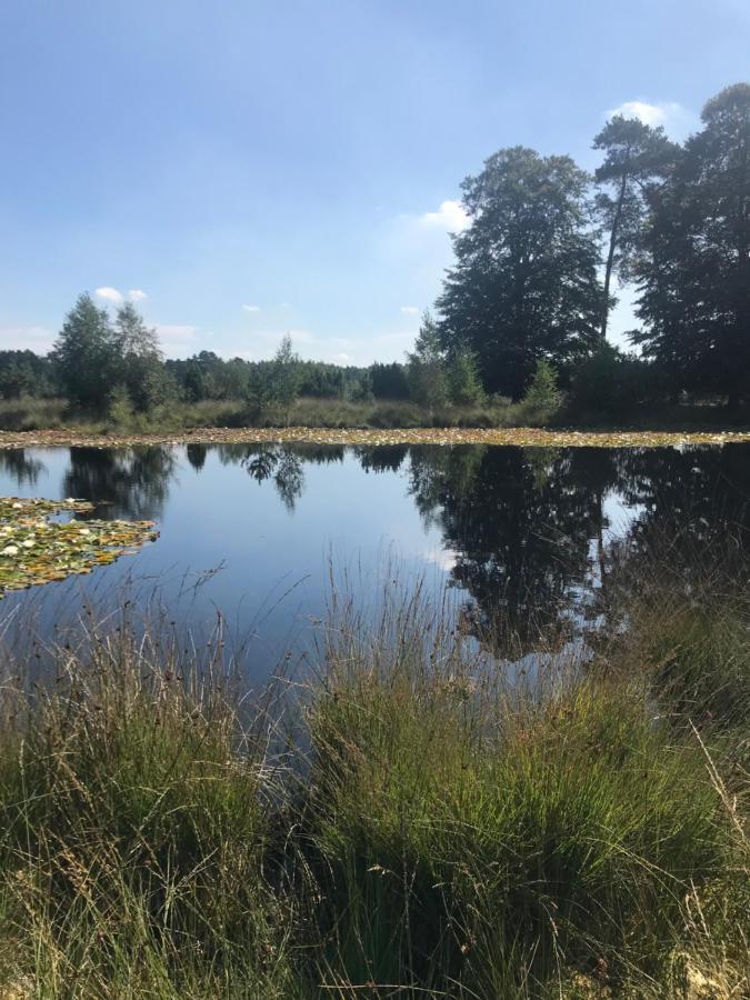 Sfeervol Chalet In Drenthe Bij Het Dwingelderveld Villa Spier Екстериор снимка